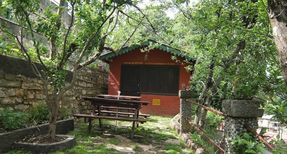 Mountain Trail Resort, Mukteshwar 3